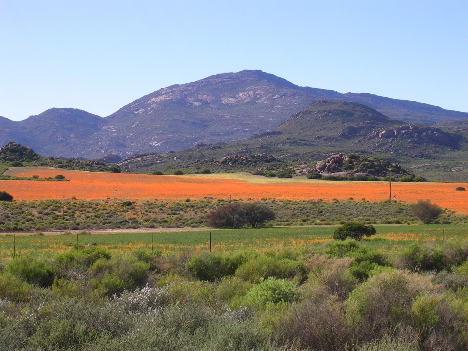 Northern Cape