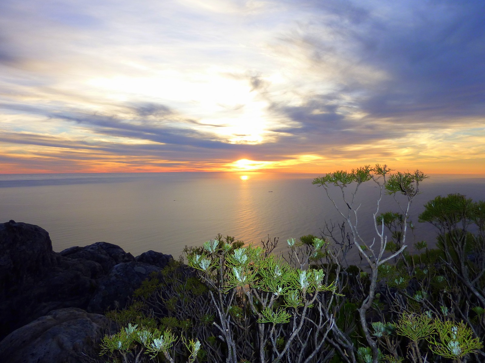 Western Cape